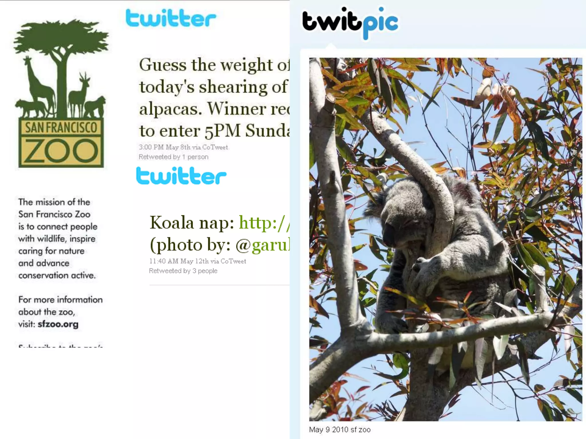 Relationships: Builds relationships with influencers on social media spaces