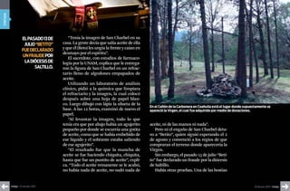 portada




                    EL pAsADo 13 DE      “Tenía la imagen de San Charbel en su
                     juLio “bEtito”   casa. La gente decía que salía aceite de ella
                    fuE DEcLArADo     y que él (Beto) les ungía la frente y caían en
                                      desmayo por el espíritu”.
                    uN frAuDE por
                                         El sacerdote, con estudios de farmaco-
                     LA DiócEsis DE   logía por la UNAM, explica que le entrega-
                          sALtiLLo.   ron la figura de San Charbel en un refrac-
                                      tario lleno de algodones empapados de
                                      aceite.
                                         Utilizando un laboratorio de análisis
                                      clínico, pidió a la química que limpiara
                                      el refractario y la imagen, la cual colocó
                                      después sobre una hoja de papel blan-
                                      co. Luego dibujó con lápiz la silueta de la
                                                                                       En el cañón de la carbonera en coahuila está el lugar donde supuestamente se
                                      base. A las 12 horas, examinó de nuevo el        apareció la virgen, el cual fue adquirido por medio de donaciones.
                                      papel.
                                         “Al levantar la imagen, todo lo que
                                      tenía era que por abajo había un agujerito       aceite, ni de las manos ni nada”.
                                      pequeño por donde se escurría una gotita            Pero ni el engaño de San Charbel detu-
                                      de aceite, como que se había embebido de         vo a “Betito”, quien siguió esperando el 2
                                      ese líquido y el sobrante estaba saliendo        de agosto y convenció a los regios de que
                                      de ese agujerito”.                               compraran el terreno donde aparecería la
                                         “El resultado fue que la mancha de            Virgen.
                                      aceite se fue haciendo chiquita, chiquita,          Sin embargo, el pasado 13 de julio “Beti-
                                      hasta que fue un puntito de aceite”, expli-      to” fue declarado un fraude por la diócesis
                                      ca. “Todo el aceite remanente se le acabó,       de Saltillo.
                                      no había nada de aceite, no sudó nada de            Había otras pruebas. Una de las hostias


          índigo • 20 de julio 2007                                                                                                                     20 de julio 2007 • índigo
 