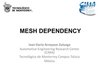 MESH DEPENDENCY

      Ivan Dario Arroyave Zuluaga
Automotive Engineering Research Center
                 (CIMA)
Tecnológico de Monterrey Campus Toluca
                 México
 