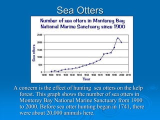 Otter Graph Montery bay (1) | PPTX