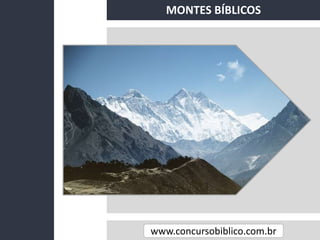 www.concursobiblico.com.br
MONTES BÍBLICOS
 