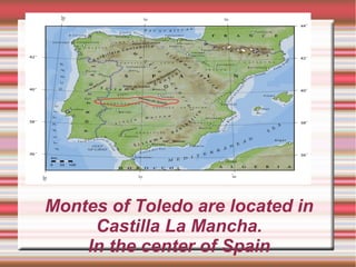 Montes of Toledo are located in
Castilla La Mancha.
In the center of Spain
 