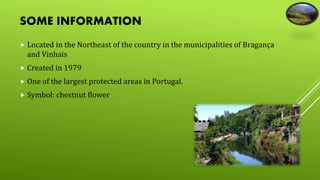 SOME INFORMATION 
 Located in the Northeast of the country in the municipalities of Bragança 
and Vinhais 
 Created in 1979 
 One of the largest protected areas in Portugal. 
 Symbol: chestnut flower 
 