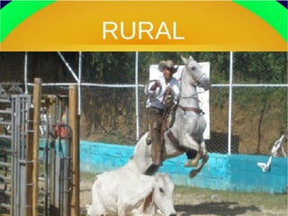 RURAL
 