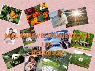 MAL APROVECHAMIENTO DELOSRECURSOS