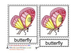 butterfly

butterfly

 