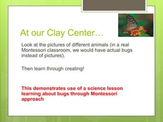 At our Clay Center…
Look at the pictures of different animals (in a real
Montessori classroom, we would have actual bugs
instead of pictures).
Then learn through creating!

This demonstrates use of a science lesson
learning about bugs through Montessori
approach

 
