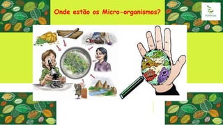 Onde estão os Micro-organismos?
 