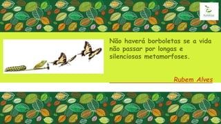 Não haverá borboletas se a vida
não passar por longas e
silenciosas metamorfoses.
Rubem Alves
 
