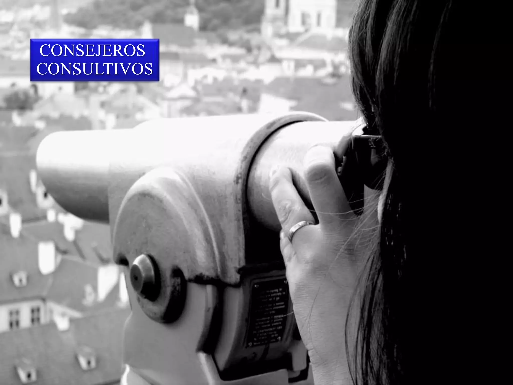 CONSEJEROS
CONSULTIVOS
 