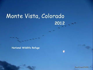 Monte Vista, Colorado
                             2012




  National Wildlife Refuge
 