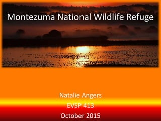 Montezuma National Wildlife Refuge
Natalie Angers
EVSP 413
October 2015
 