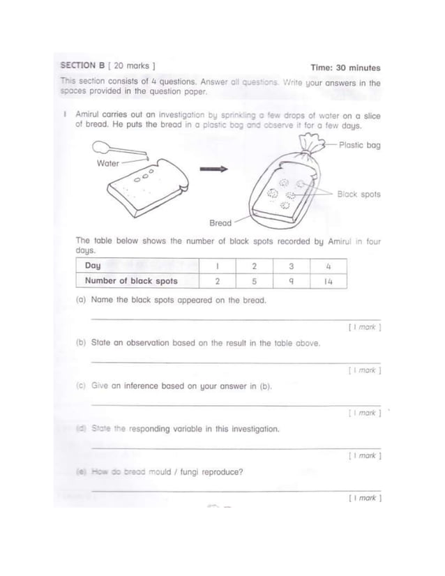 Monthly test 1 | DOCX