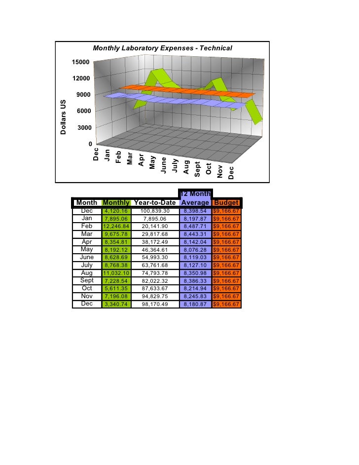 Monthly Expense Report