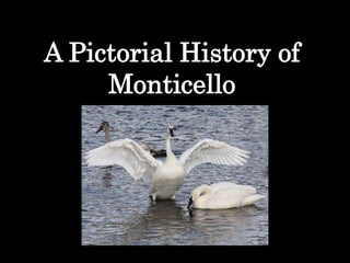 A Pictorial History of
Monticello

 