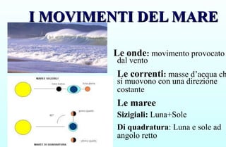 I MOVIMENTI DEL MARE
I MOVIMENTI DEL MARE
Le onde: movimento provocato
dal vento
Le correnti: masse d’acqua ch
si muovono con una direzione
costante
Le maree
Sizigiali: Luna+Sole
Di quadratura: Luna e sole ad
angolo retto
 