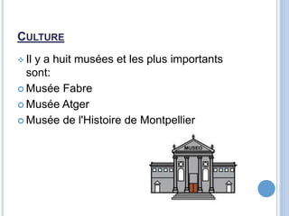 CULTURE
 Il y a huit musées et les plus importants
sont:
 Musée Fabre
 Musée Atger
 Musée de l'Histoire de Montpellier
 
