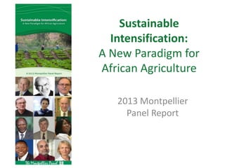 Sustainable
Intensification:
A New Paradigm for
African Agriculture
2013 Montpellier
Panel Report
 