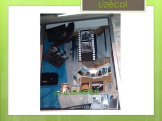 Lizécol
 