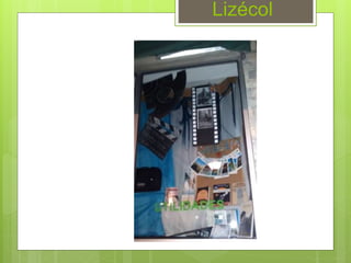 Lizécol
 