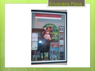 Ervanária Pava
 
