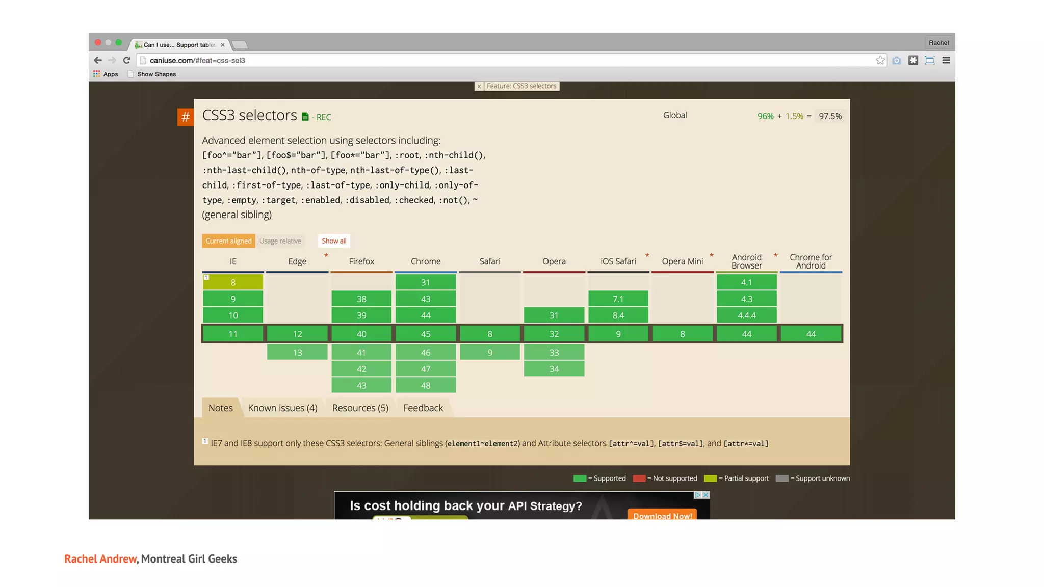 Rachel Andrew, Montreal Girl Geeks
 