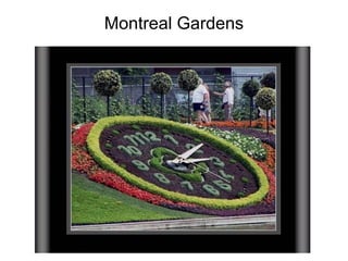 Montreal Gardens   
