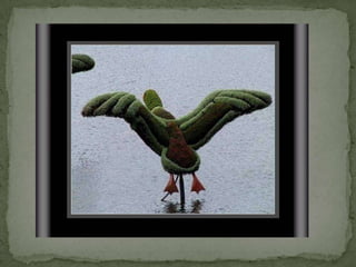 Montreal Gardens 2009