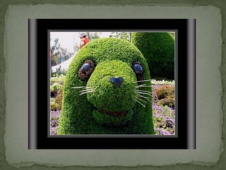 Montreal Gardens 2009