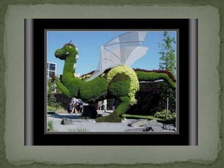 Montreal Gardens 2009