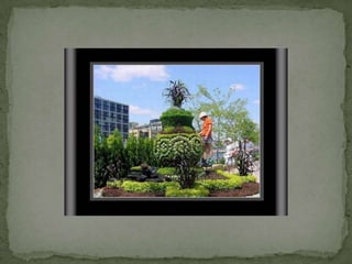 Montreal Gardens 2009