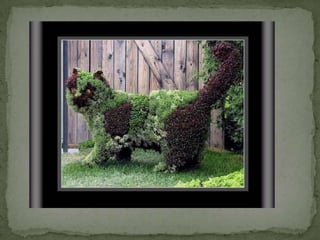 Montreal Gardens 2009