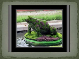 Montreal Gardens 2009