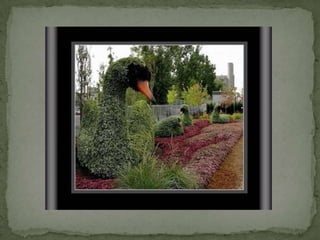 Montreal Gardens 2009