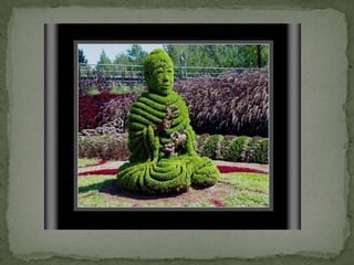 Montreal Gardens 2009