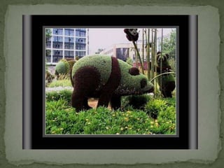 Montreal Gardens 2009