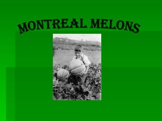 Montreal Melons 