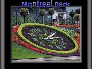 Montreal park