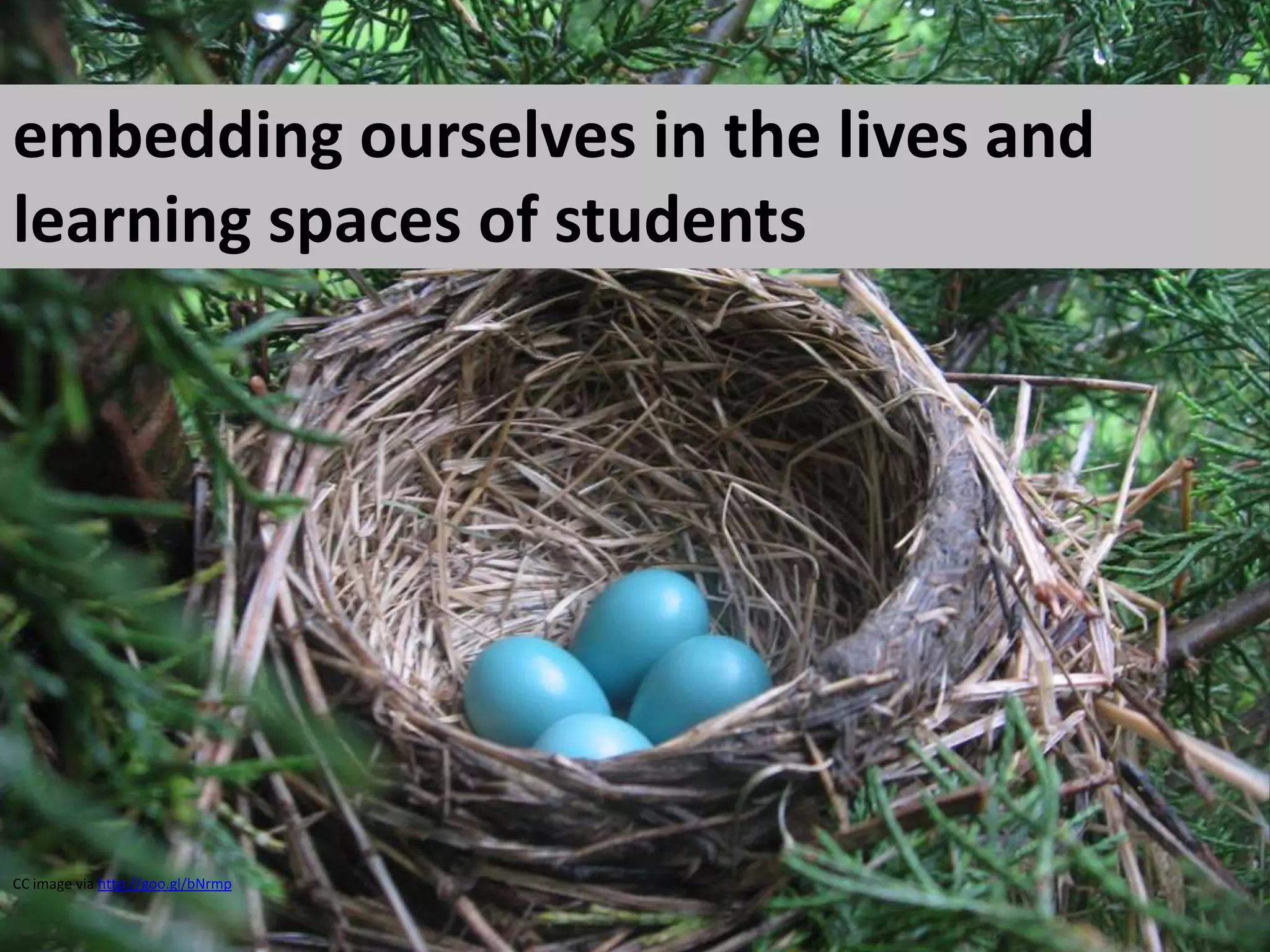 embedding ourselves in the lives and learning spaces of studentsCC image via http://goo.gl/bNrmp
