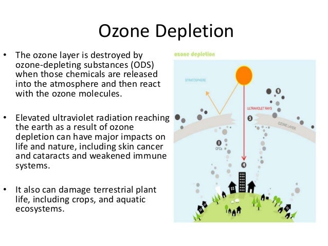 the ozone depletion In a phenomenon that could contribute to climate change, the hole in the antarctic ozone layer has changed the way that waters in. the ozone depletion In a phenomenon that could contribute to climate change, the hole in the antarctic ozone layer has changed the way that waters in.