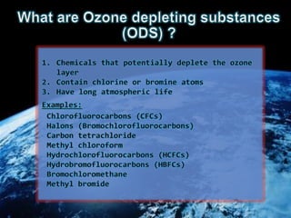 Ozone Layer
 