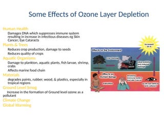 Montreal Protocol and its causes to the Environment.pptx