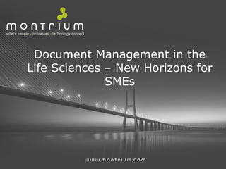 Document Management in the
Life Sciences – New Horizons for
SMEs

 