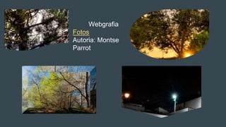 Webgrafia
Fotos
Autoria: Montse
Parrot
 