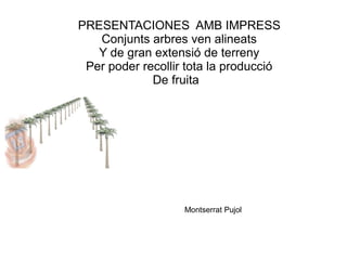PRESENTACIONES AMB IMPRESS
   Conjunts arbres ven alineats
   Y de gran extensió de terreny
 Per poder recollir tota la producció
             De fruita




                   Montserrat Pujol
 