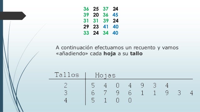 MATEMATICAS 11