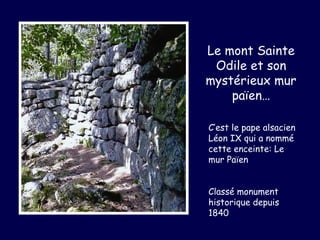 Le mont Sainte
 Odile et son
mystérieux mur
    païen…

C’est le pape alsacien
Léon IX qui a nommé
cette enceinte: Le
mur Païen


Classé monument
historique depuis
1840
 