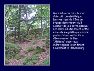 Mais selon certains le mur
daterait du néolithique.
Des vestiges de l'âge du
bronze démontrent qu‘il
existait déjà à cette époque.
Les Romains utilisèrent cette
enceinte mégalithique comme
poste d'observation ils le
dénommeront le lieu
"Altitona" quant aux
Mérovingiens ils en firent
finalement le Hohenbourg.
                                       
 