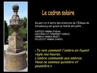De part et d'autre des armoiries de l'Évêque de
Strasbourg est gravé un texte en Latin …

ASPICIS VMBRA FVGAX
NOSTRAS VT TEMPERET HORAS
VMBRAS VMBRA REGIT
PVLVIS ET VMBRA SVMVS




«Tu vois comment l'ombre en fuyant
règle nos heures.
L’ombre commande aux ombres.
Nous ne sommes qu’ombre et
poussière.»
 
