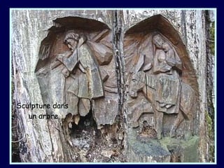 Sculpture dans  un arbre 